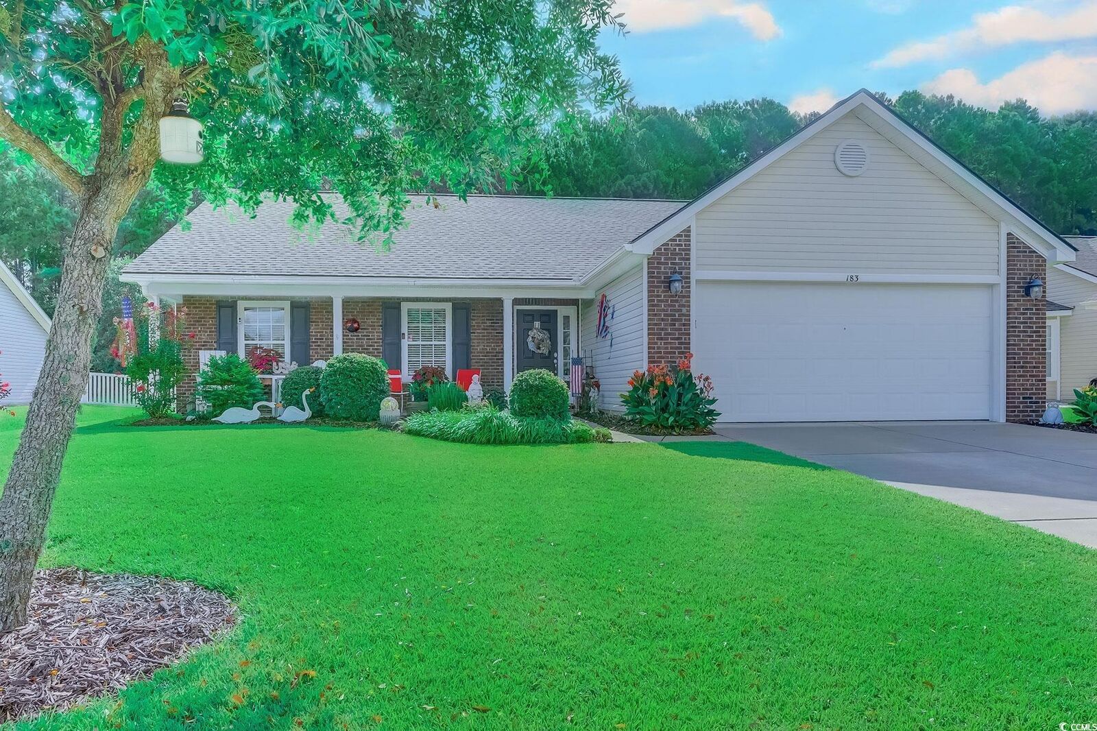 Property Photo:  183 Blackpepper Loop  SC 29566 