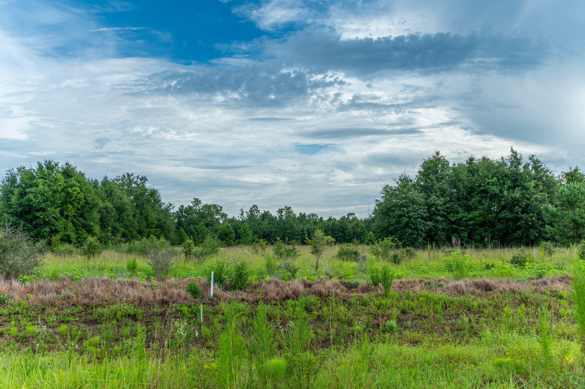 Property Photo: F-2 Long Branch Farm Road FL 32531