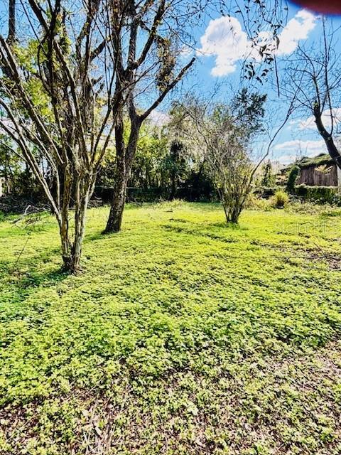 Property Photo: 35441 Francine Drive FL 33541