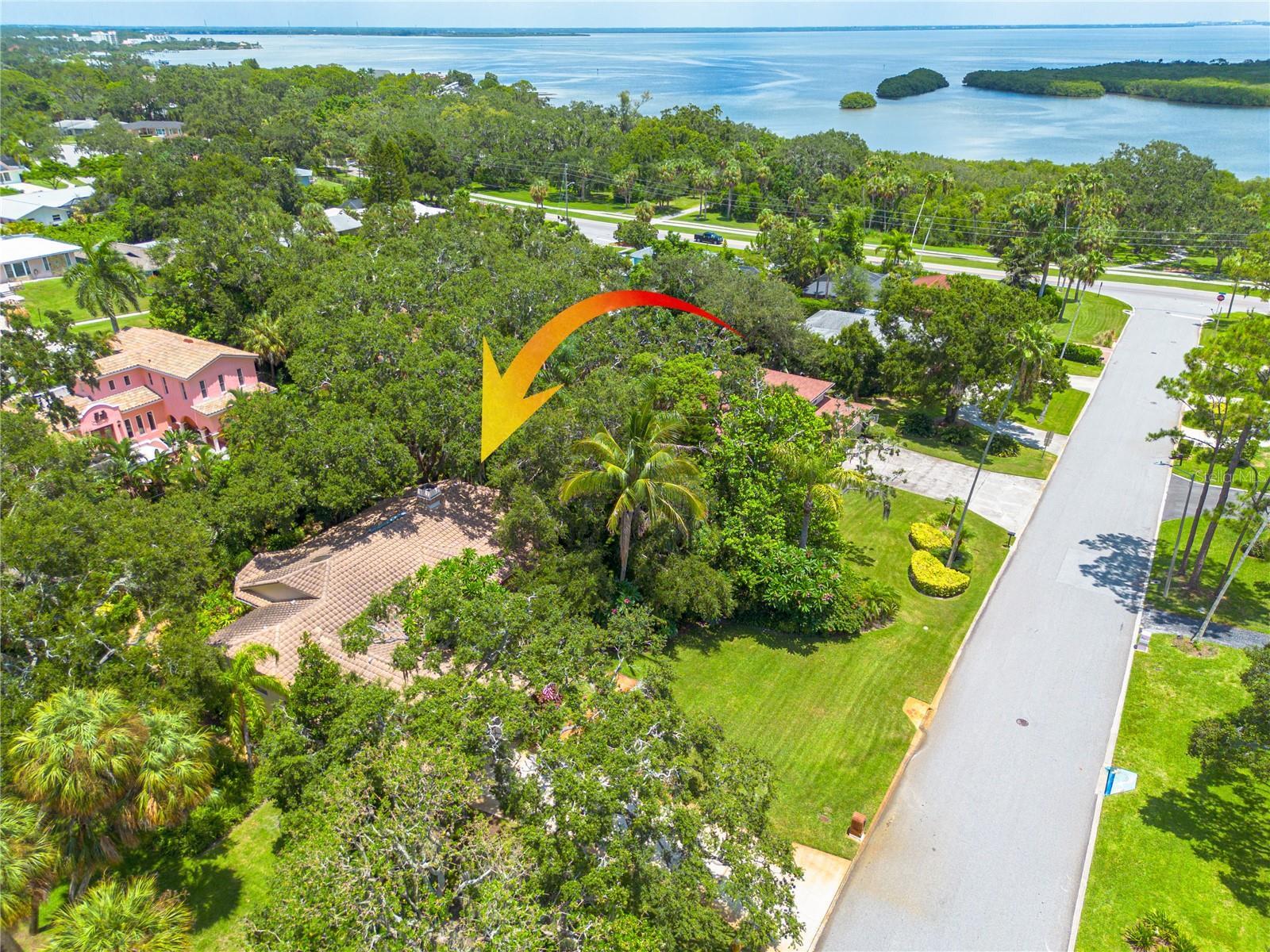 Property Photo: 3330 San Pedro Street FL 33759