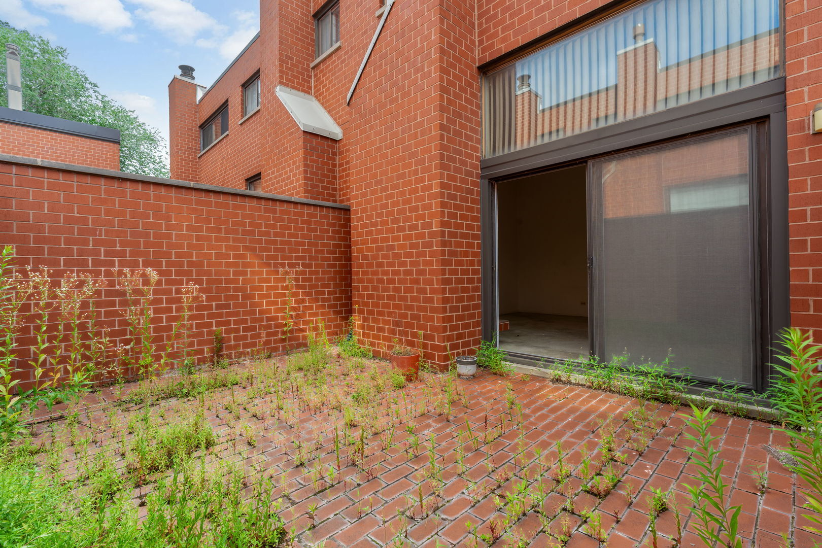 Property Photo: 725 W Waveland Avenue D IL 60613