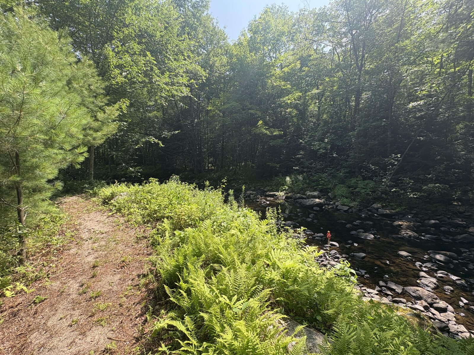 Property Photo:  286 Upper Hostile Valley Road  ME 04949 