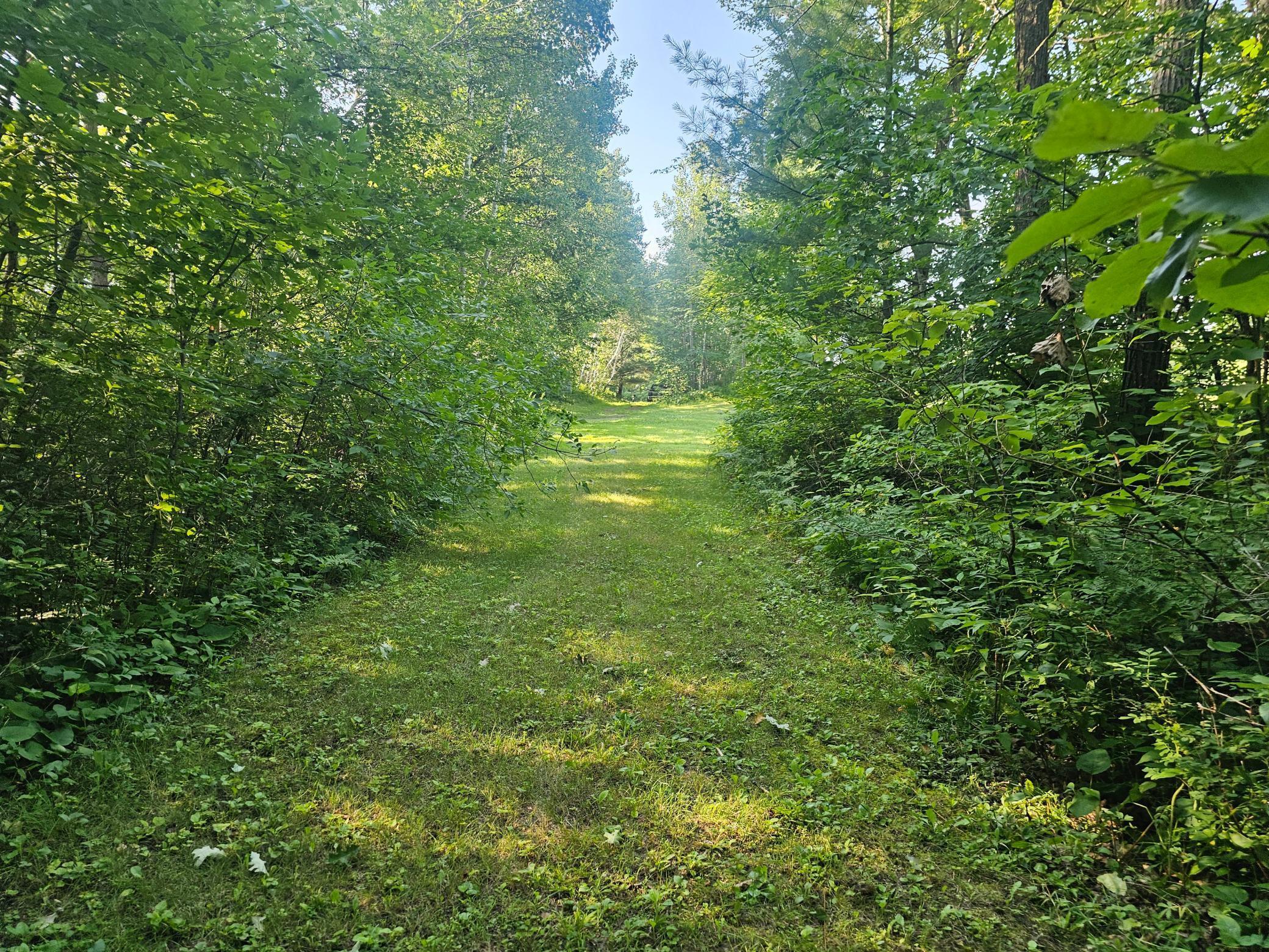 Property Photo:  Tbd Lot 1 Bunny Lane  MN 56441 