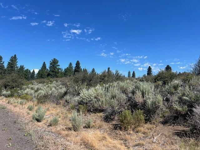 Property Photo: Wrightwood Lot 17 OR 97624