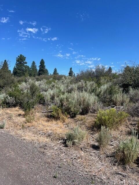 Property Photo:  Wrightwood Lot 16  OR 97624 