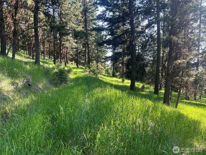 Property Photo: 0 Tbd Janet Marie Road WA 98855