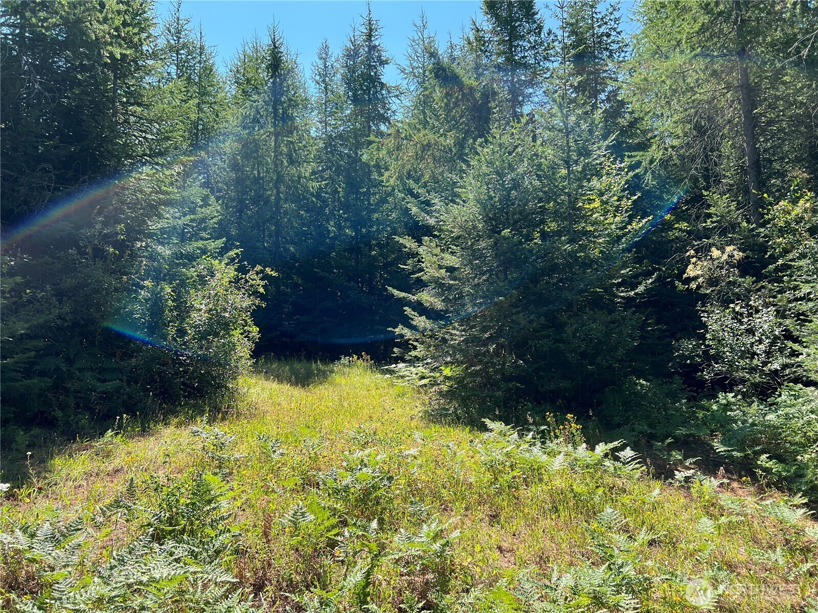 Property Photo: 9305 Lewis Peak Road WA 99329