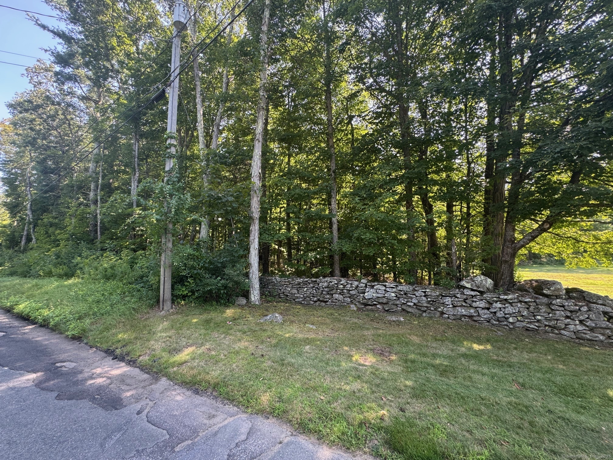 Property Photo:  0 Patten Road Mblu38// 39.1//  CT 06075 