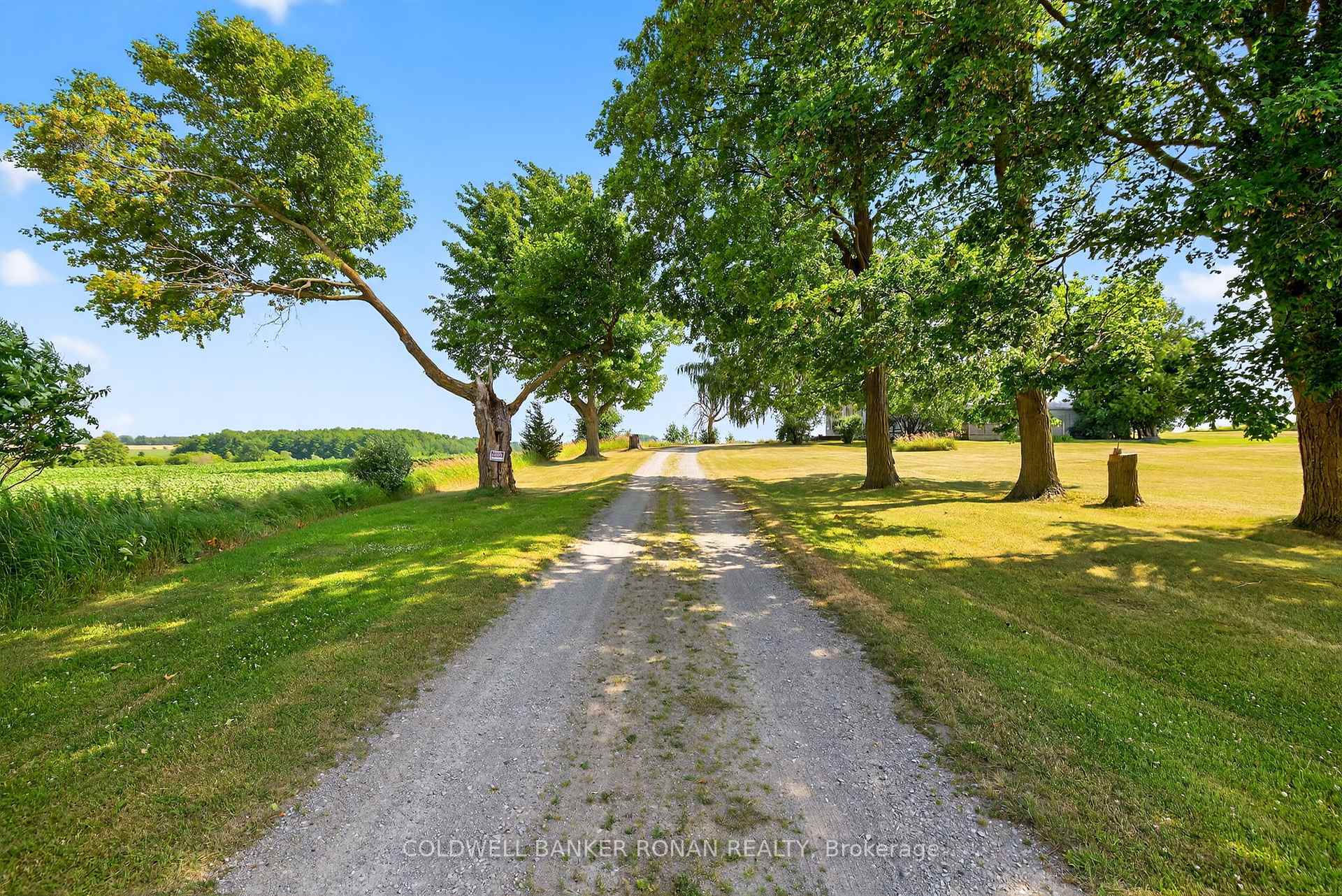 Photo de la propriété: 4495 Line 11 N/A ON L0L 1L0