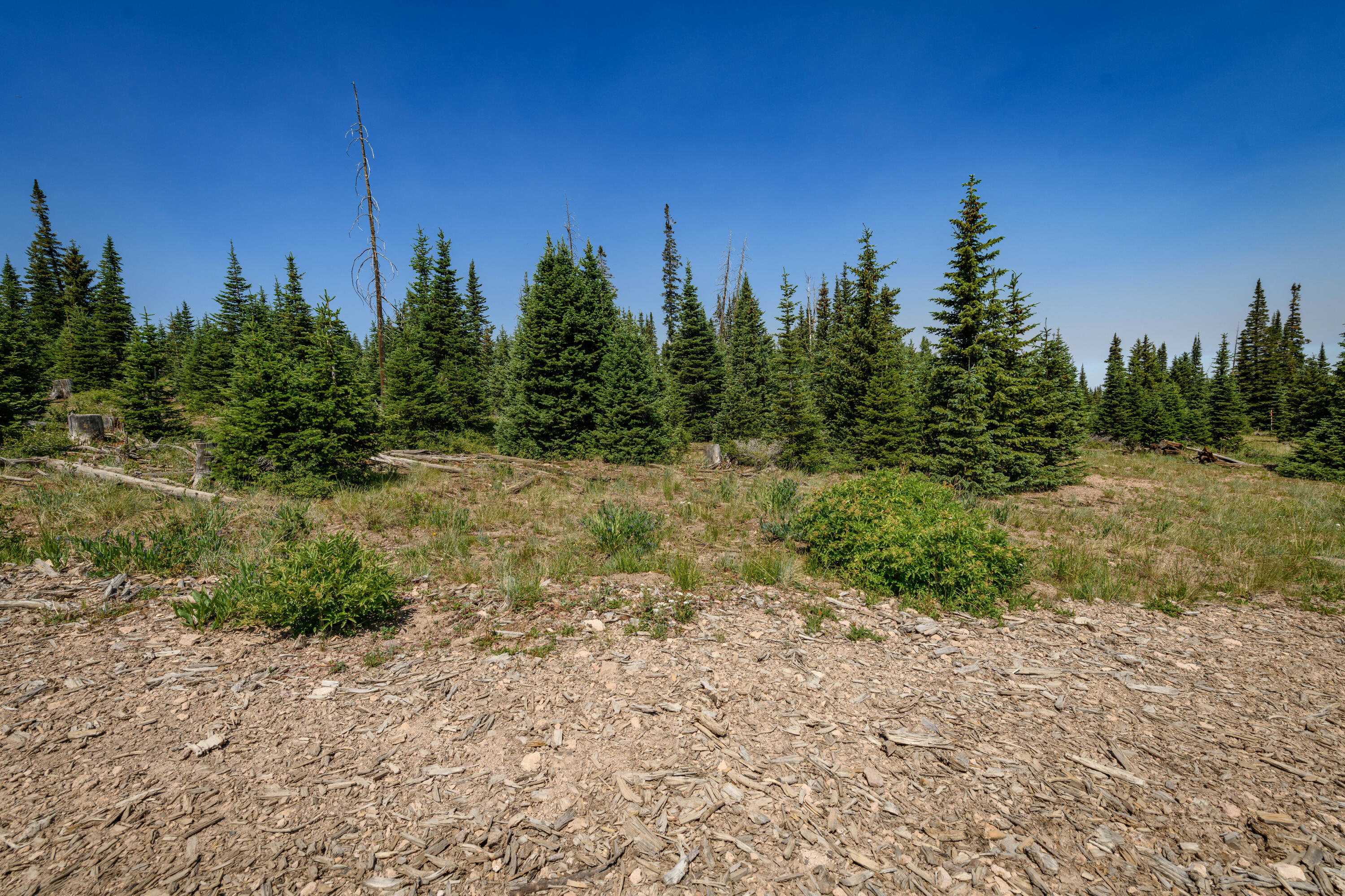Property Photo:  Lot 29, Aspen Mdws SE Neighbor  UT 84719 