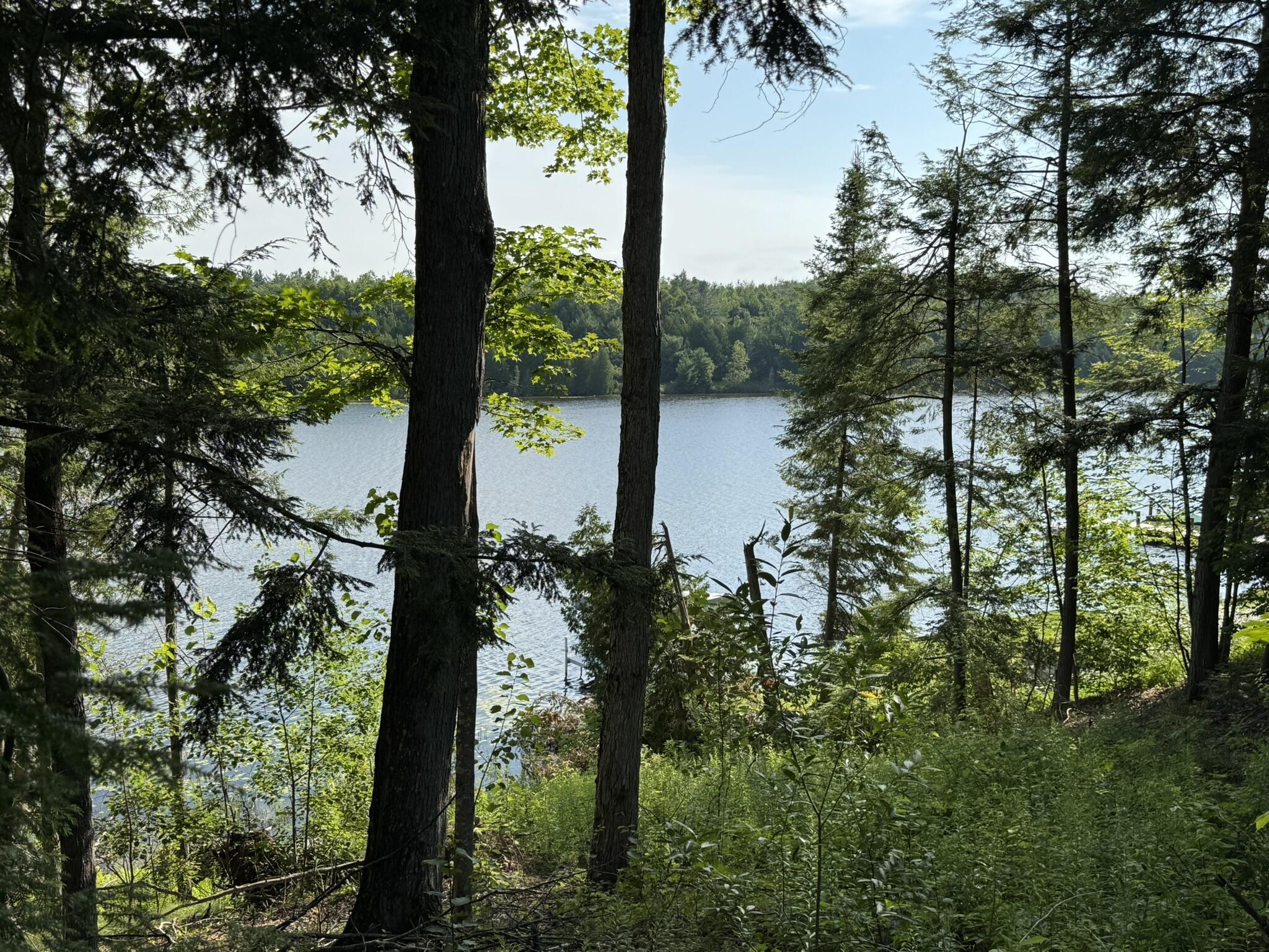 Property Photo: 8684 W Black Lane MI 49721