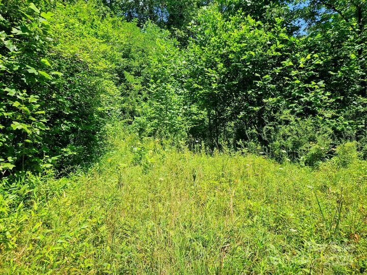 Property Photo: 99 Banjo Branch Road NC 28714