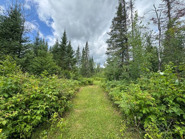 Property Photo: 1csm666 Mercer Lake Cr S WI 54547