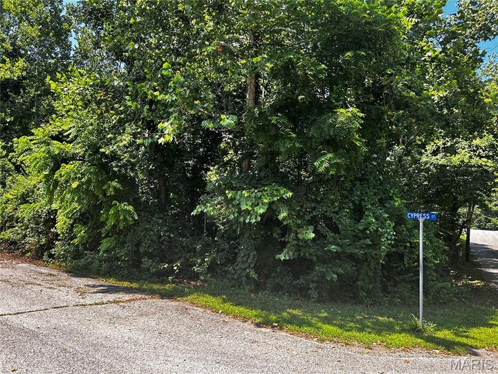 205 Incline Village (Cypress Ct)  Unincorporated MO 63348 photo