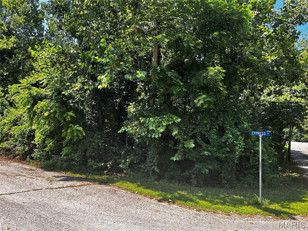 Property Photo:  205 Incline Village (Cypress Ct)  MO 63348 