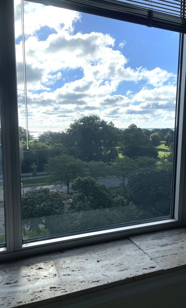 Property Photo: 4250 N Marine Drive 801 IL 60613