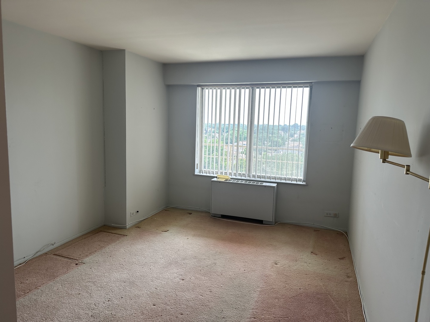 Property Photo: 7061 N Kedzie Avenue 1008 IL 60645