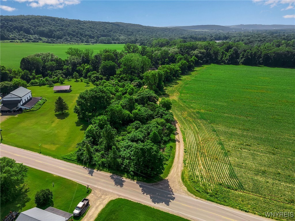Property Photo: 0 Toad Hollow Road NY 14755