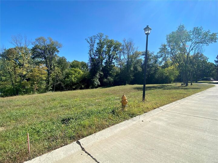 Property Photo:  2021 Lily Avenue  MO 63122 