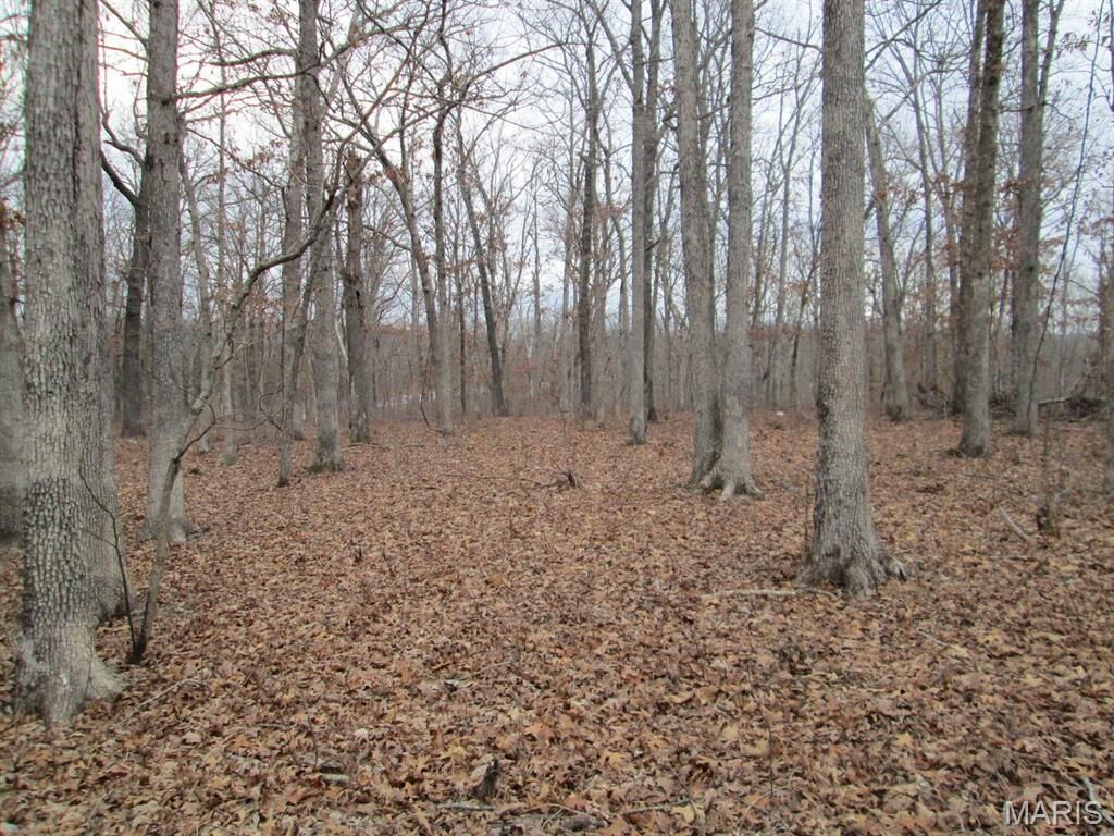 Property Photo: 0 Mo-30 Gravois Rd. 6 Ac MO 63077