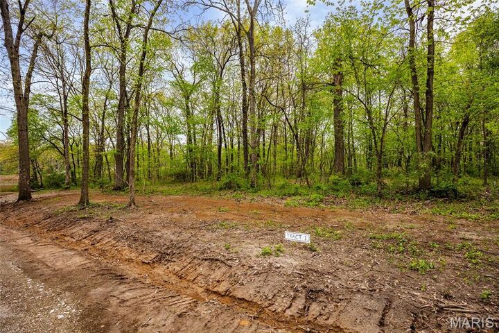 Property Photo:  107 Weeks Lane  IL 62056 