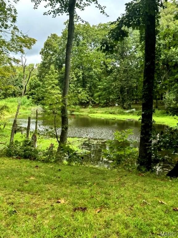 Property Photo: 2562 State Route 161 IL 62801