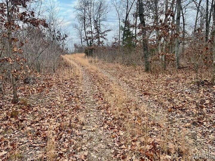 (125.87 Ac) Tract A-1 Clear Creek Road  Richwoods MO 63071 photo