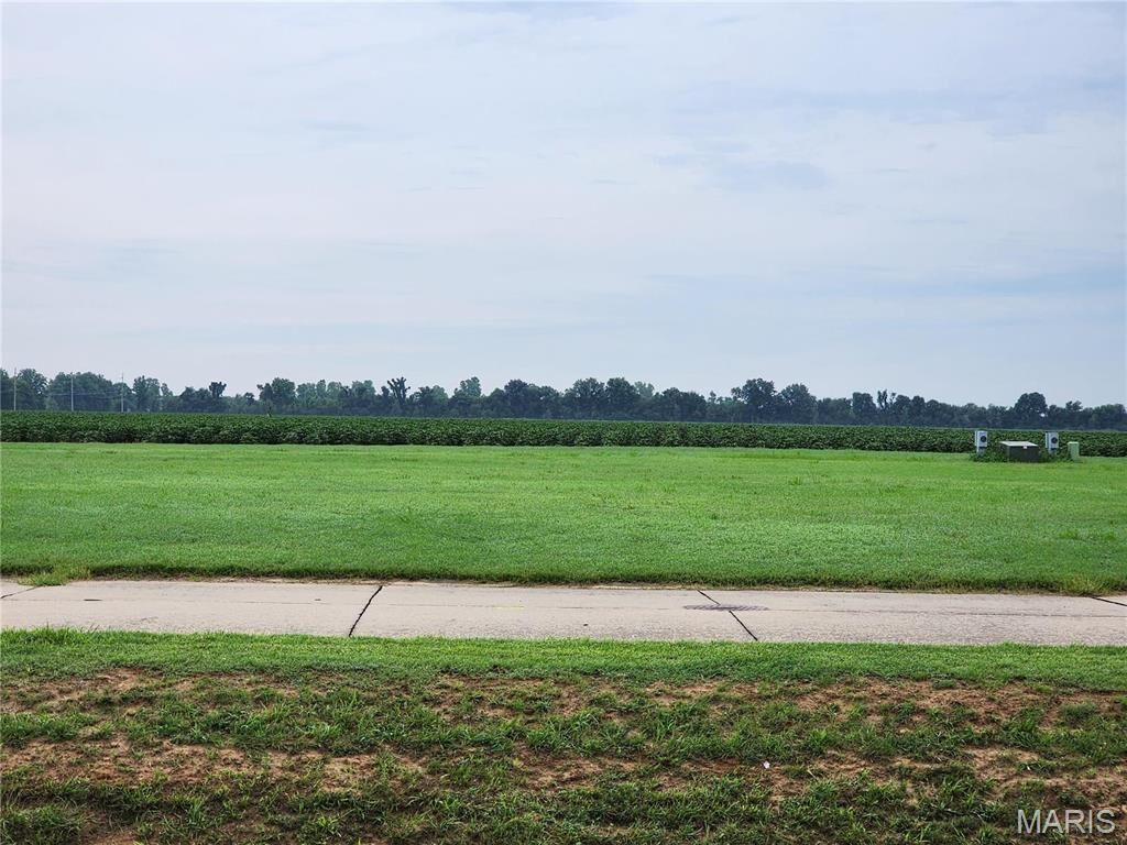 Property Photo:  803 Bollweevil Blvd  MO 63801 