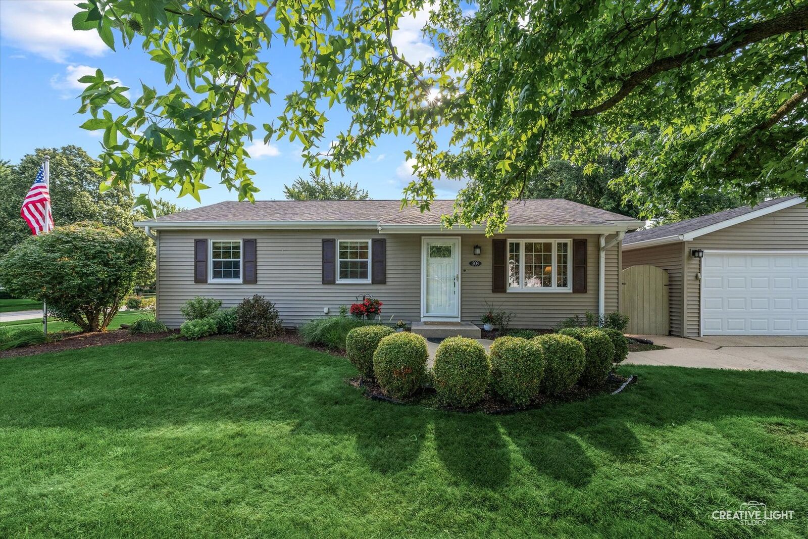 Property Photo:  203 Basswood Drive  IL 60542 