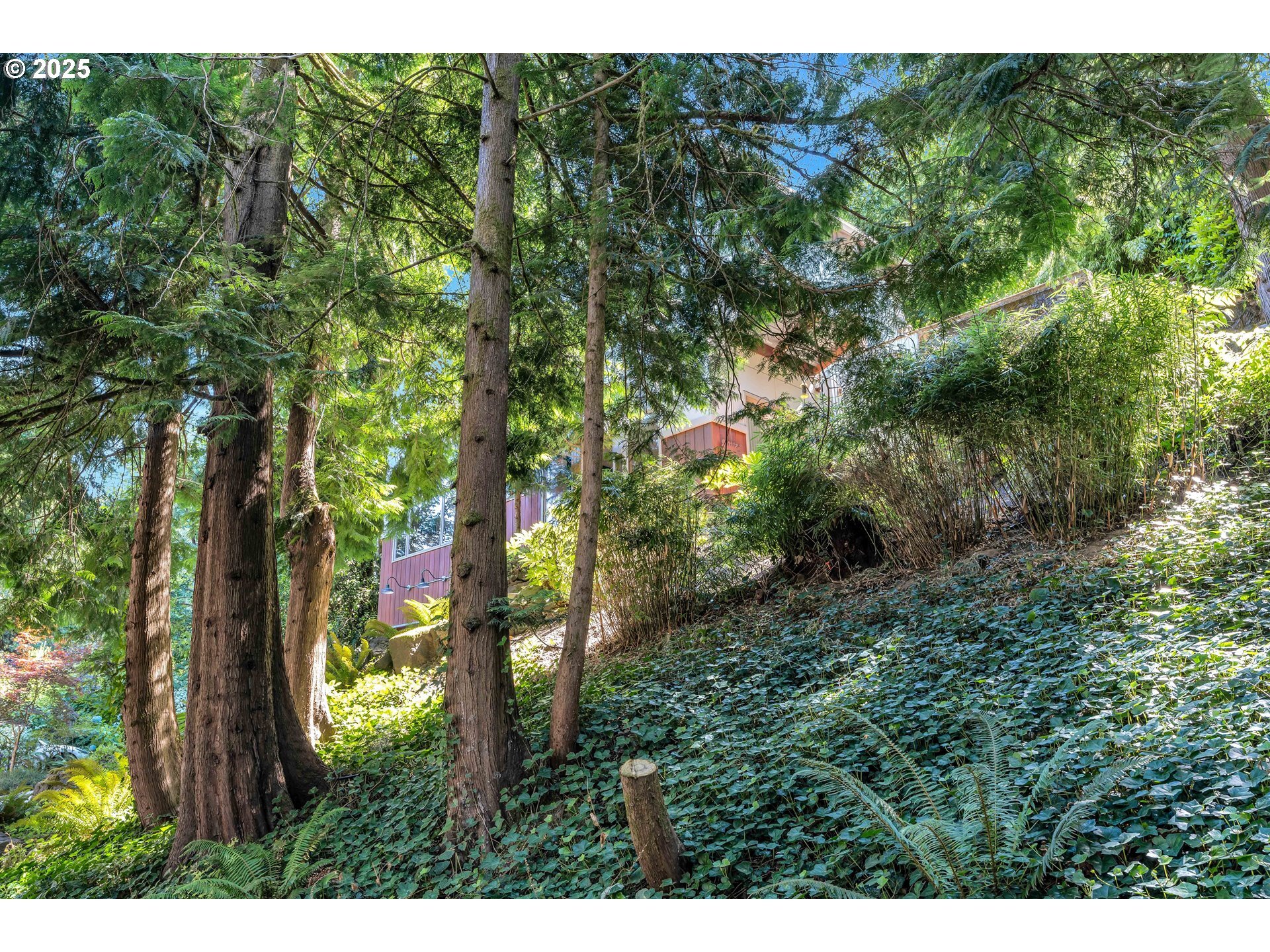 Property Photo: 315 SW 48th Dr OR 97221