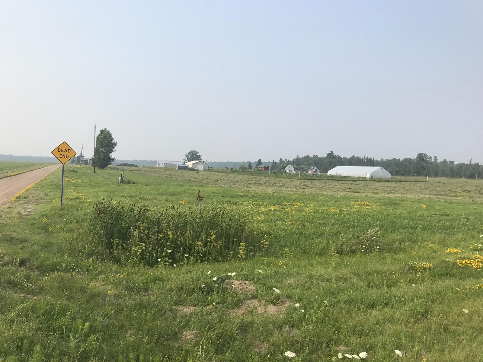 Property Photo:  21955 S Steinbeck Rd  MI 49780 