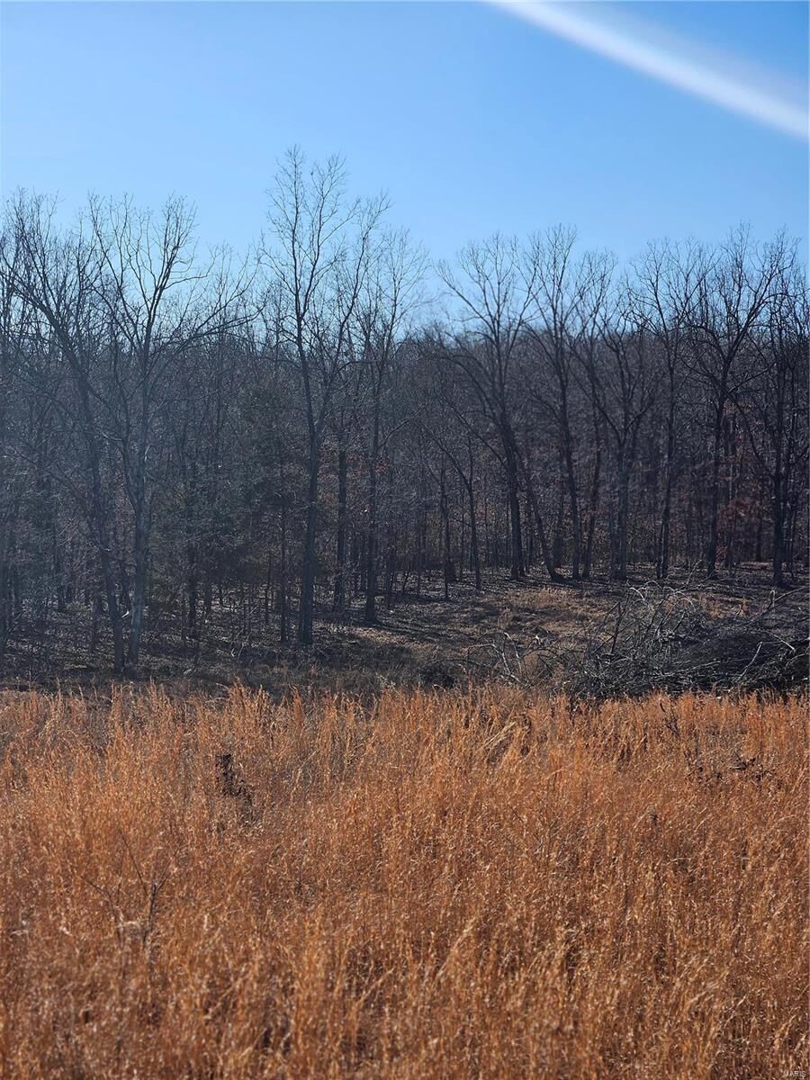 Property Photo:  17712 Bcr 506  MO 63751 