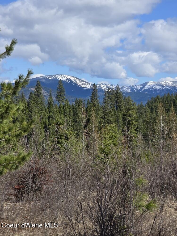Property Photo: Nka Mutch Creek Road ID 83861