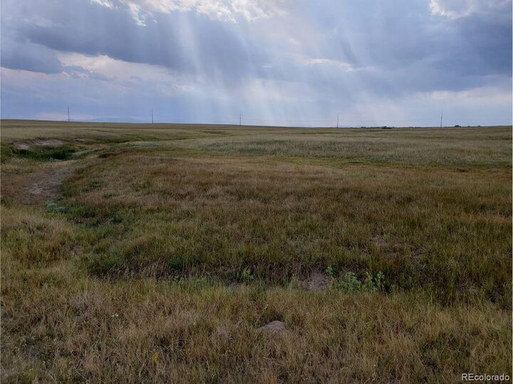 Property Photo: 8155 Cowboy Ranch Vw CO 80831