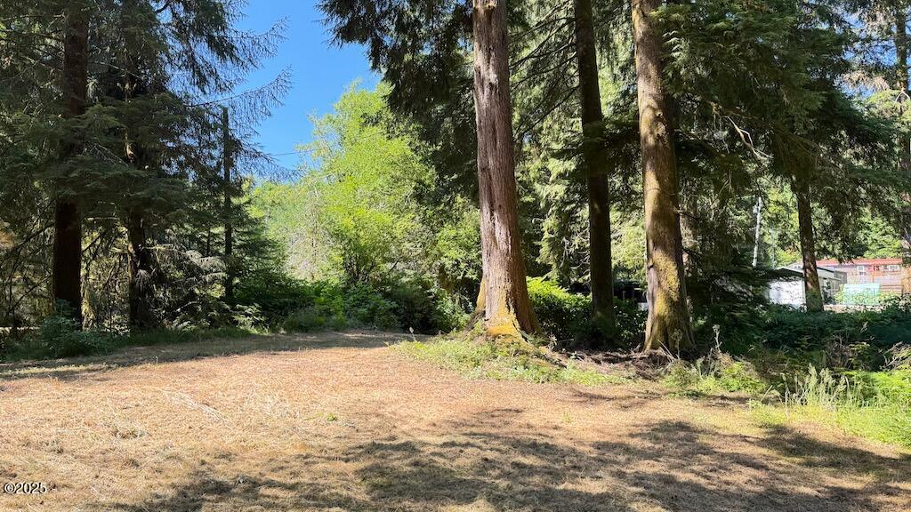 Property Photo: Lot 5 N Doris Lane OR 97368