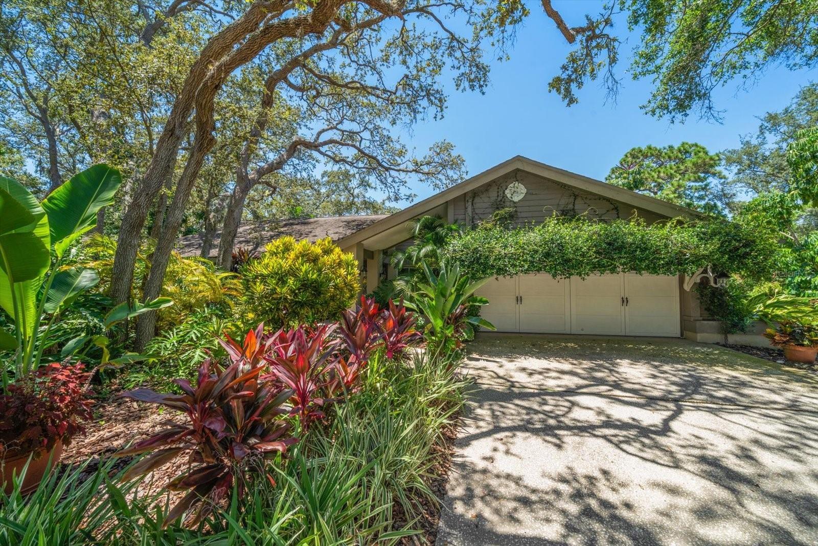 Property Photo: 2418 Summerwood Court FL 34698