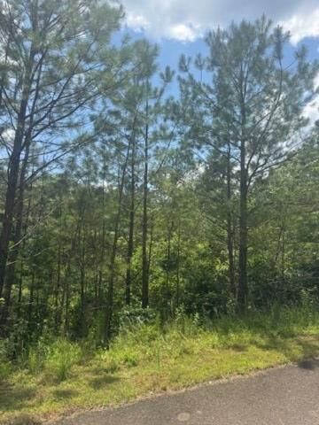 Property Photo: Lt 43&44 Reece Mountain Road GA 30536