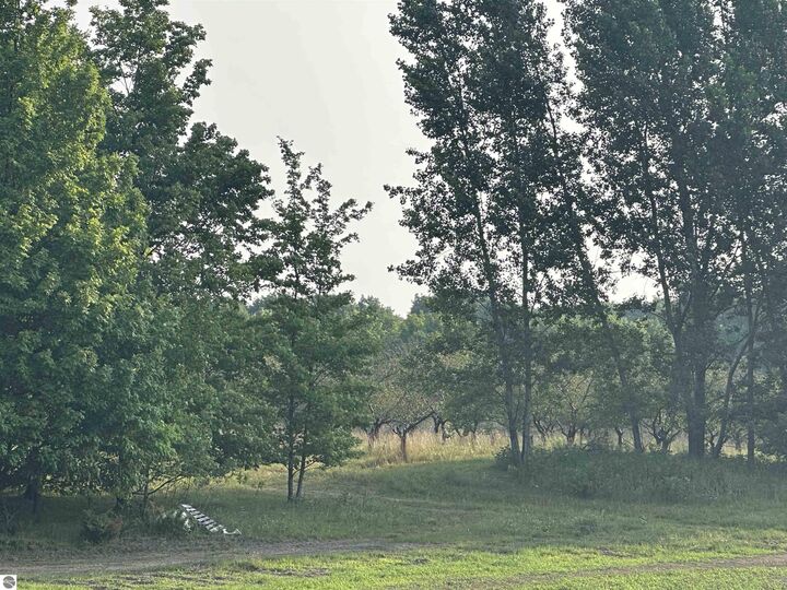 Parcel 9 Karnes Road  Glen Arbor MI 49636 photo