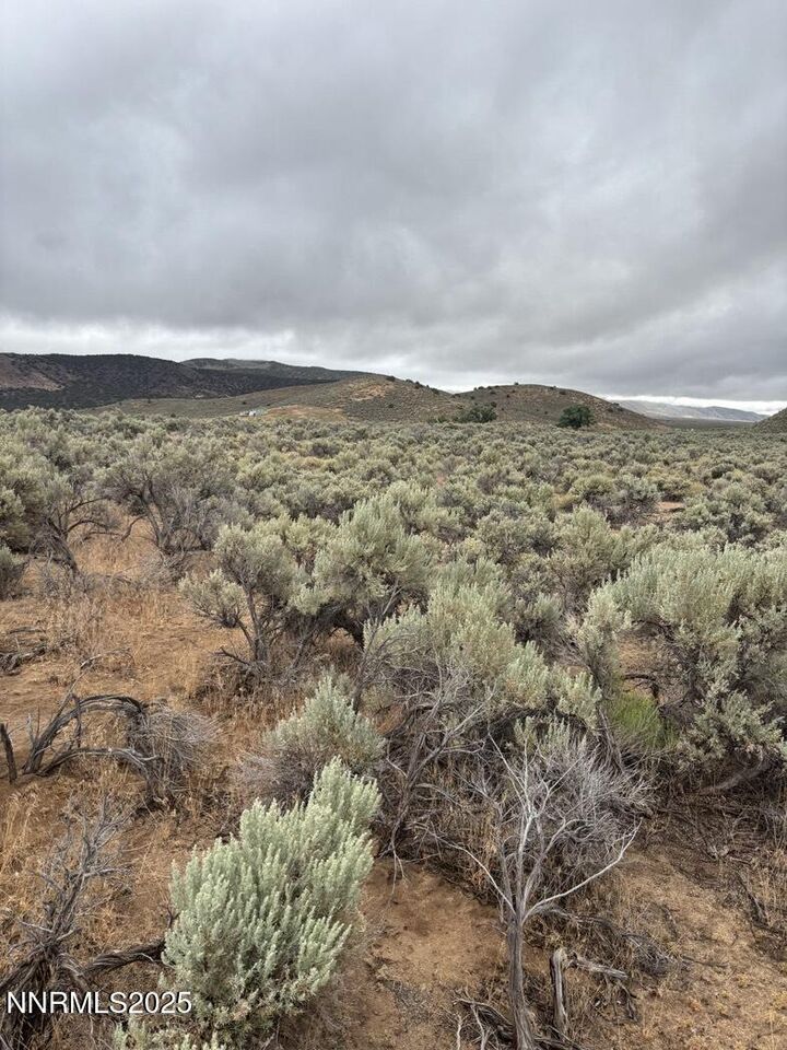 0 Dixie Lane  Reno NV 89508 photo