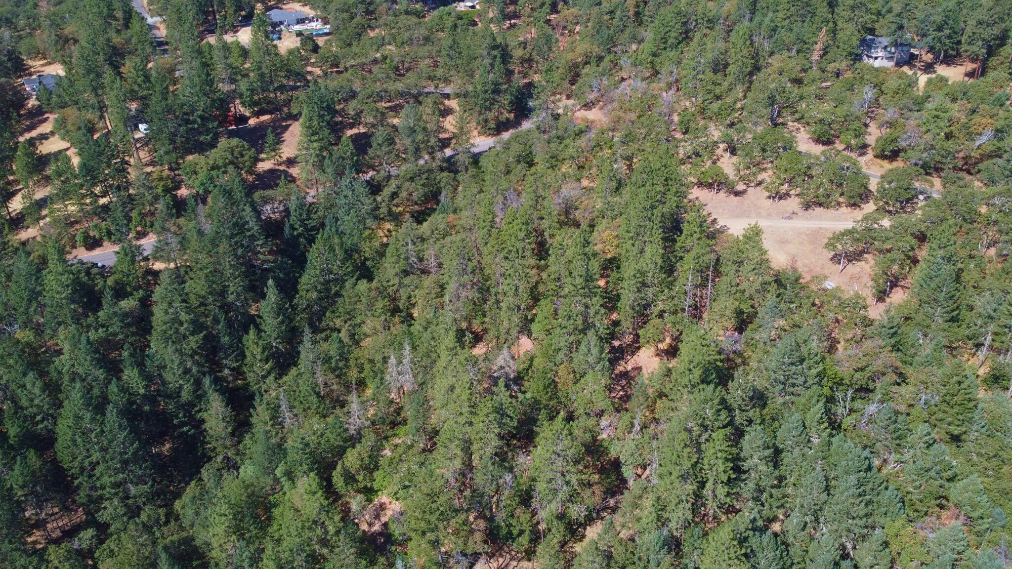 Property Photo:  238 Juanita Way  OR 97530 