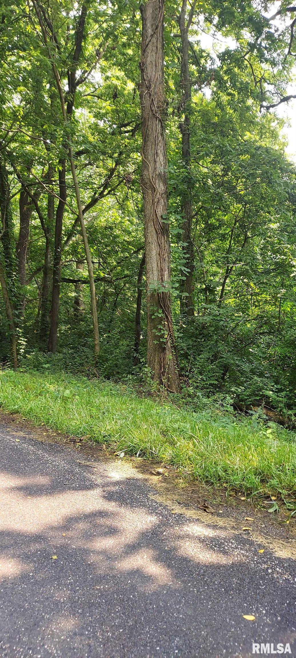Property Photo:  0 W Bristol Hollow Road  IL 61525 