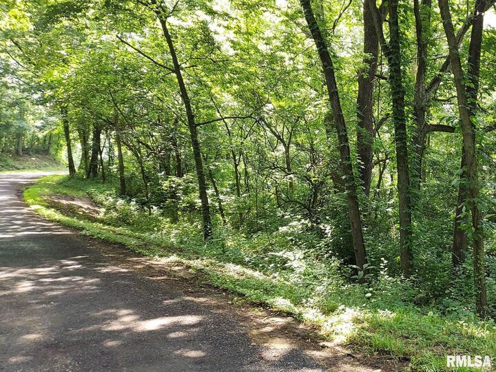 0 W Bristol Hollow Road  Dunlap IL 61525 photo