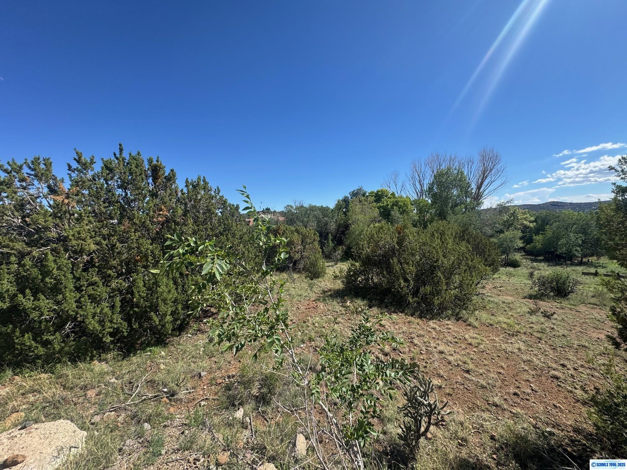 Property Photo:  2255 Pinos Altos Road  NM 88061 
