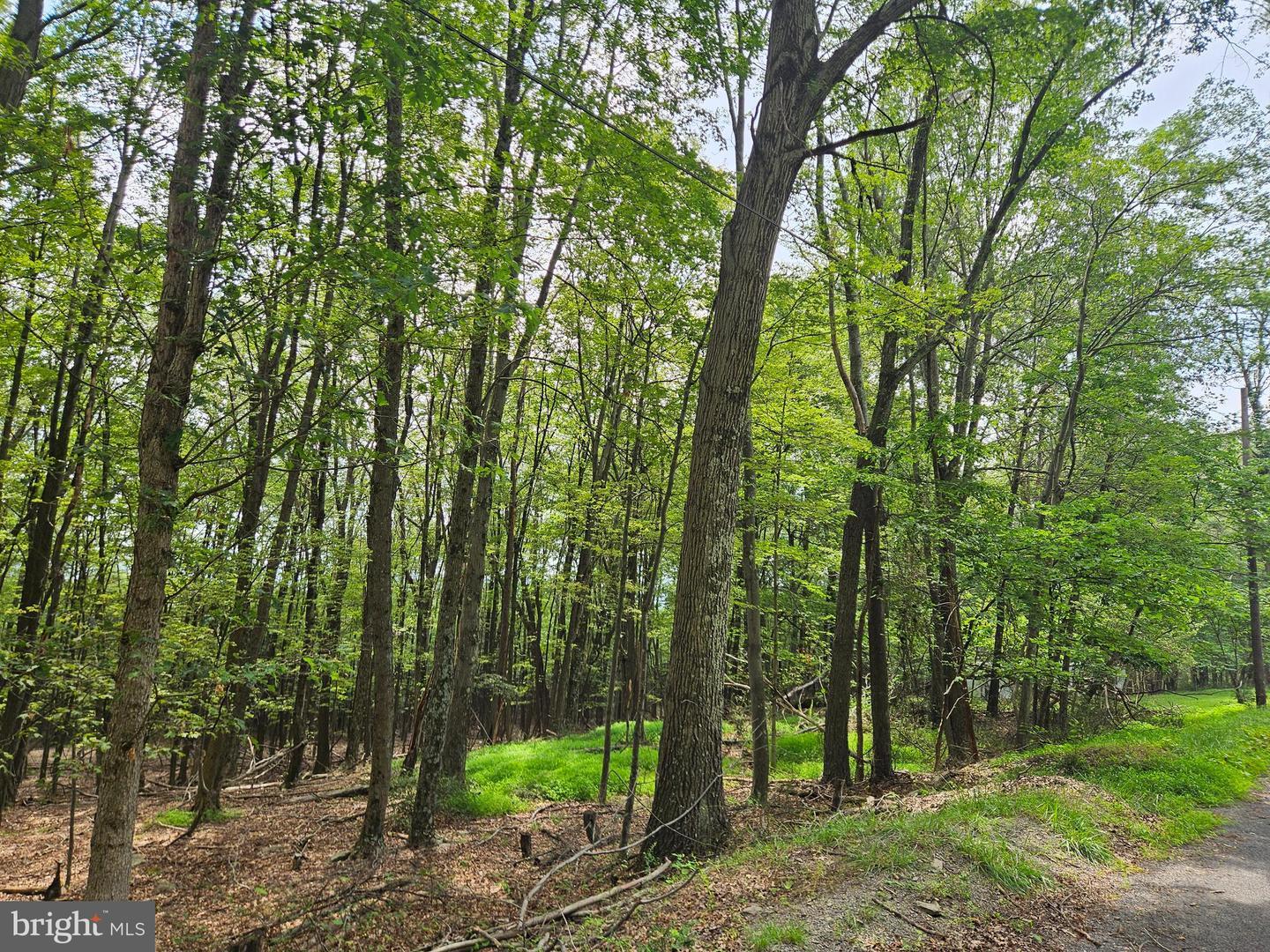 Property Photo:  Elbinsville Road  MD 21530 