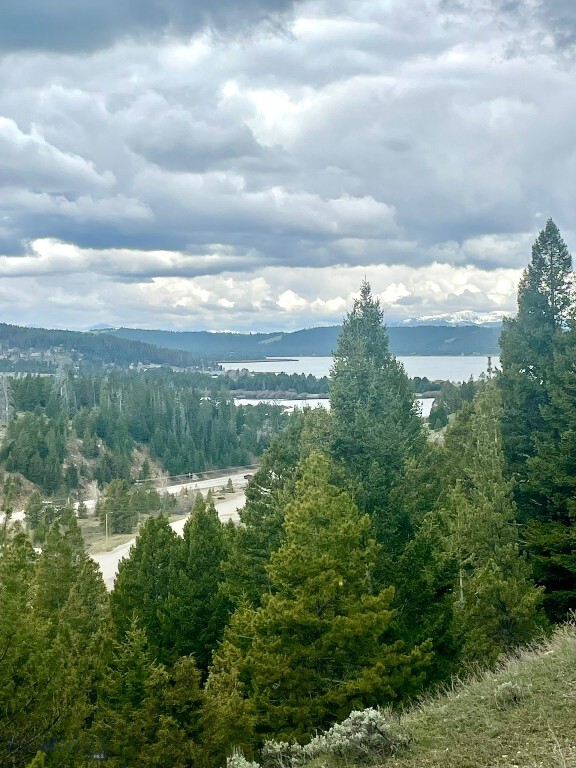 Property Photo:  Tbd Shoot The Moon Lane  MT 59711 
