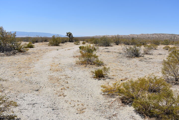 Property Photo:  170th St West &Amp S/O Irone Ave  CA 93560 