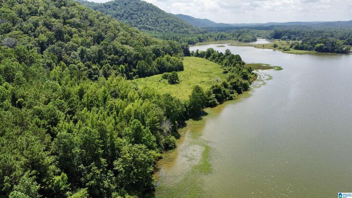 Property Photo:  148 Acres County Road 21 2 Parcels  AL 35953 