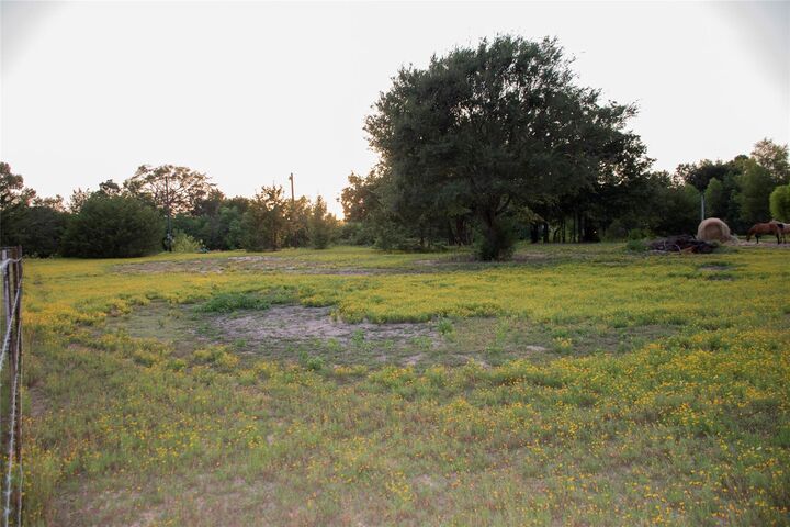 Property Photo: 383 County Road 1875 TX 75844