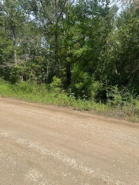 Property Photo: Lot 4 Klein Drive TX 77351