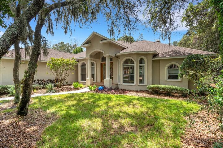 17907 Burnt Oak Lane  Lithia FL 33547 photo